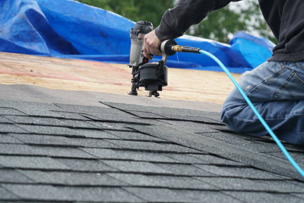 Best Roof Gutter Cleaning  in Moapa Valley, NV