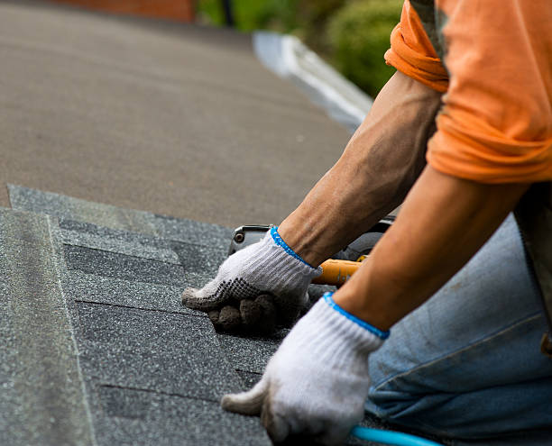 Quick and Trustworthy Emergency Roof Repair Services in Moapa Valley, NV